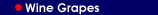 Wine Grapes Link