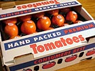 Hand Packed Tomatoes