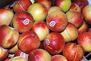 Peaches