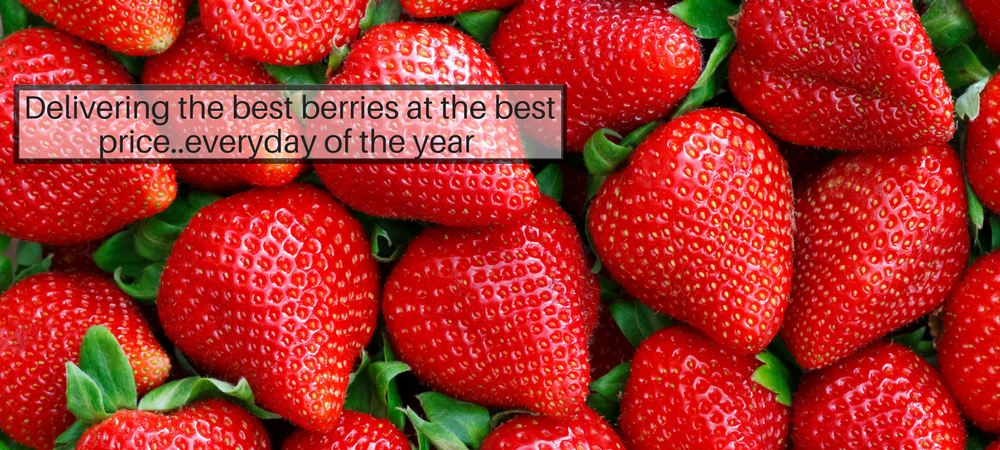 Delivering the best berries at the best price... everyday of the year.